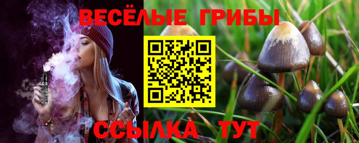 Галлюциногенные грибы Psilocybe Лыткарино