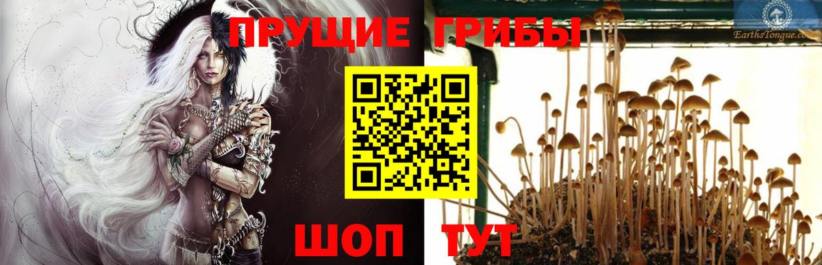 Лыткарино  Галлюциногенные грибы MAGIC MUSHROOMS  Вход с VPN  Галлюциногенные грибы Magic Shrooms 